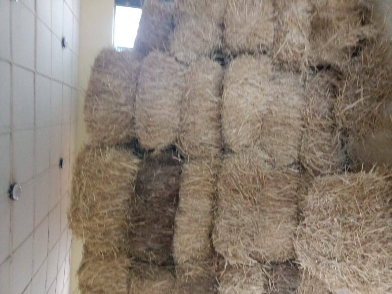 Premium Feed Storage