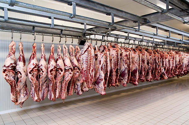 Processing Facility
